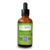 פורמולה משופרת | ACTIVE B12 & FOLATE - פורמולה משופרת | ACTIVE B12 & FOLATE |אקוסאפ