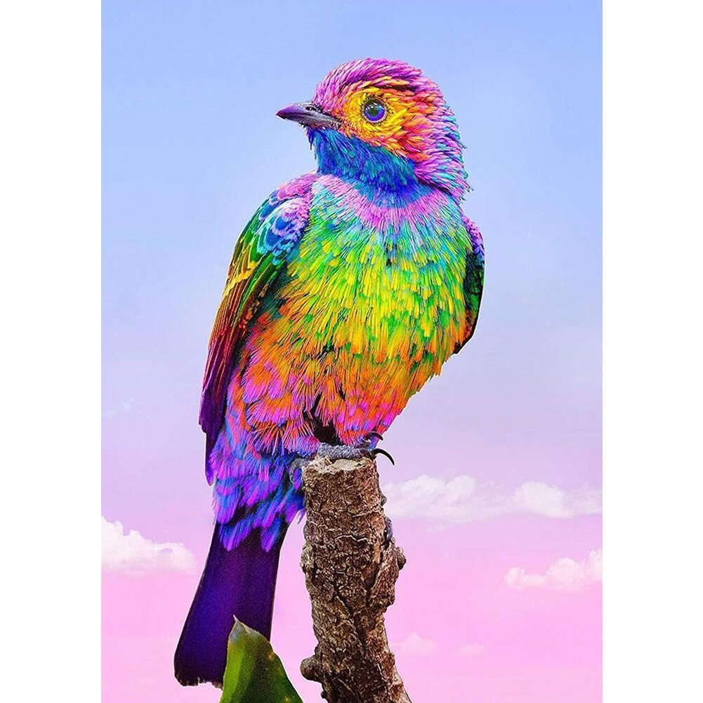 ציפור צבעונית