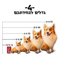 כרית מינימי בצורת חיית מחמד