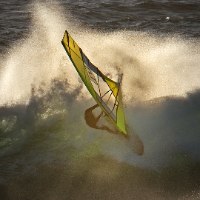 PATRIK 4-WAVE LTD 2025