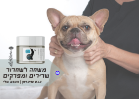 DOLITAI|משחת שרירים ומפרקים