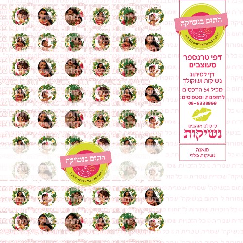 מואנה נשיקות כללי- טרנספר