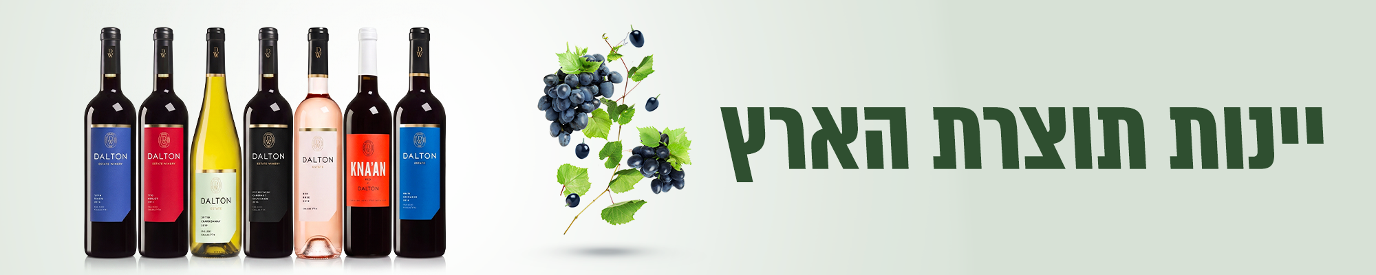 יין ישראלי - iDrink משקאות אונליין