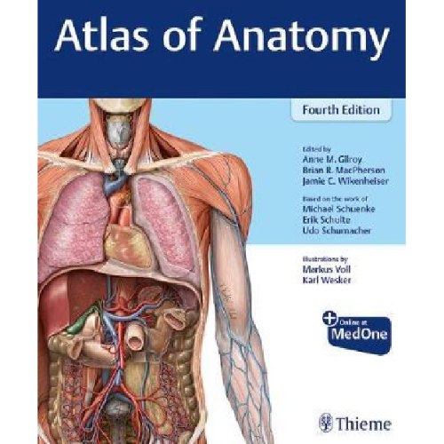 Gilroy - Atlas of Anatomy 4th edition