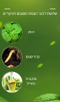 משחה תאילנדית מרפאה נגד יתושים