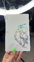 בדיקה 1