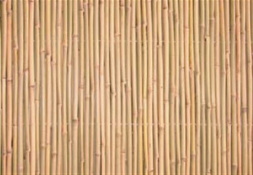 גדר במבוק מושחל גובה: 2 מטר אורך: 2 מטר עובי קנה 20-22 מ"מ