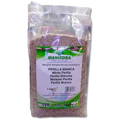 פרילה לבנה 1 ק"ג מניטובה MANITOBA