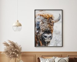 תמונת קנבס הדפס  "פני יאק הצפון" |בודדת או לשילוב בקיר גלריה | תמונות לבית ולמשרד
