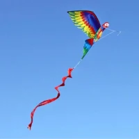 עפיפונים-גדולים
