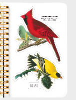 חוברת מדבקות  Salty birds
