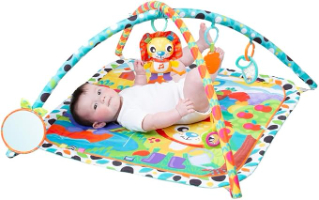פלייגרו - משטח מוזיקלי לחצר - Playgro 189025