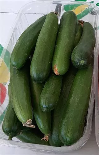 קופסת מלפפונים