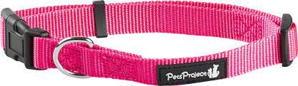קולר לכלב מידה גדולה XS בייסיק PetsProject