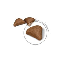 רויאל קנין היירבול קייר לחתול 4 ק"ג
