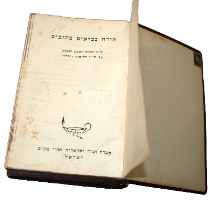 ספר תנ"ך אדמת ישראל 1950-60 פלאק מתכת שנים עשר השבטים וינטאג' יודאיקה