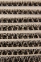 Speed Lashes ריסים עם דבק מובנה להדבקה קלה עם פינצטה באנדל  5 יחידות
