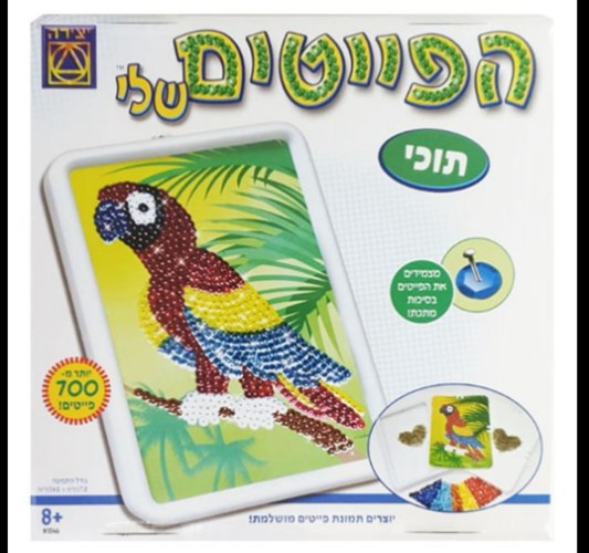 הפייטים שלי תוכי