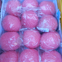 סקווישי  נידו מוח - Squishy Nido Brain  YYP-106-4