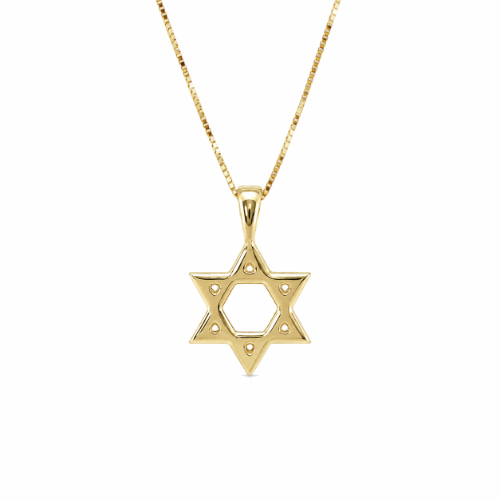 שרשרת זהב לגבר עם תליון מגן דוד זהב
