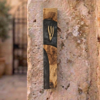 בית מזוזה מודרני – שחור מט ועץ זית גלילי