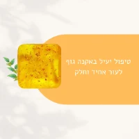 PA soap - סבון גוף מוצק לטיפול באקנה