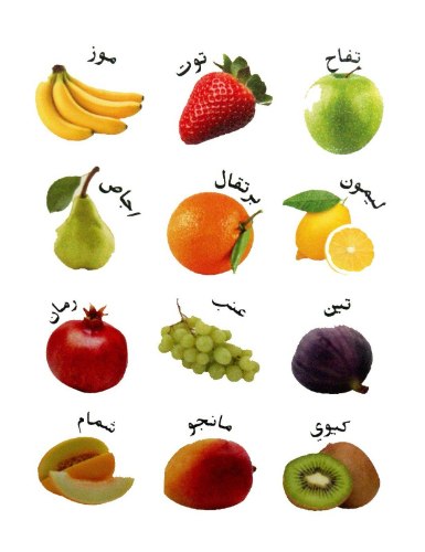 מדבקות לימוד ערבית פירות לילדים מורות גננות 120 מדבקות בחבילה