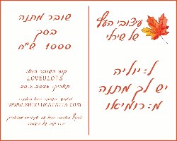 שובר מתנה דיגיטלי על סך 300 ש"ח
