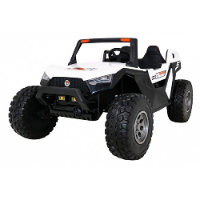 באגי ממונעת UTV 4X4 24V אמיתי