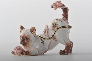 Cat Playing