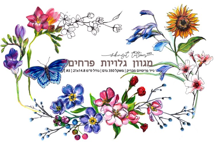 פלורה- מגוון גלויות קשיחות של איורי פרחים מאת ויקינגית|35 ש"ח ליח'
