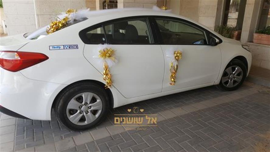 קישוט רכב אלעד 7 פונפון