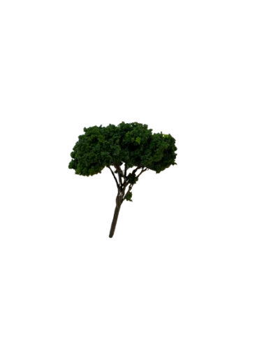 עץ למודל דגם 6