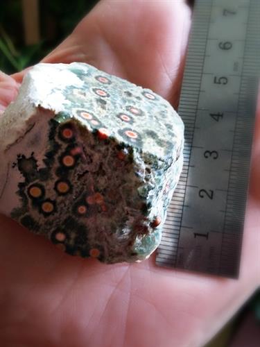 אבן ג'ספר אושן טבעית גדולה גביש לטיפול אנרגטי או לאספני קריסטלים ואבני חן