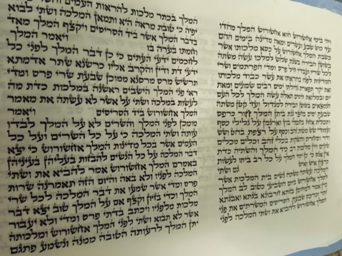 מגילת אסתר כתובה על קלף  21 ס"מ