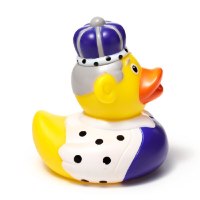 ברווז מלך King Duck - מיקס צבעים
