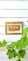 " אני בריאה " על עץ ממוסגר