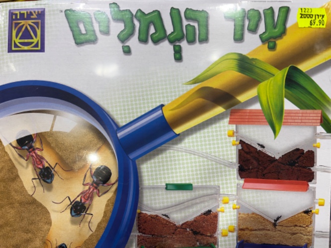 עיר נמלים