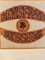 THE BEVISFROND / SUPERSEEDER - 2LP