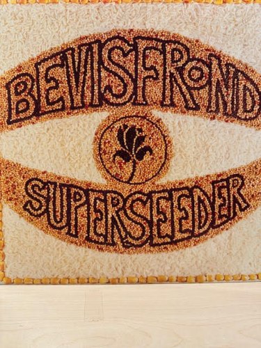 THE BEVISFROND / SUPERSEEDER - 2LP