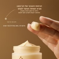 Ginseng Glow – קרם ג'ינסנג לחידוש העור