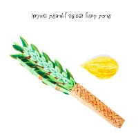 טדאם ערכת פעילות לסוכות