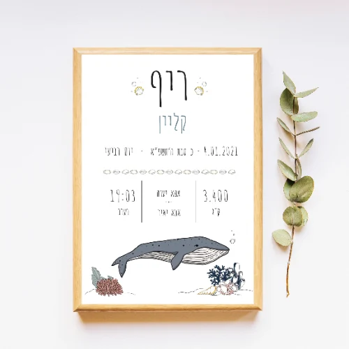 תעודת לידה + מסגרת - לוויתן