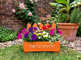 אדנית חלומות