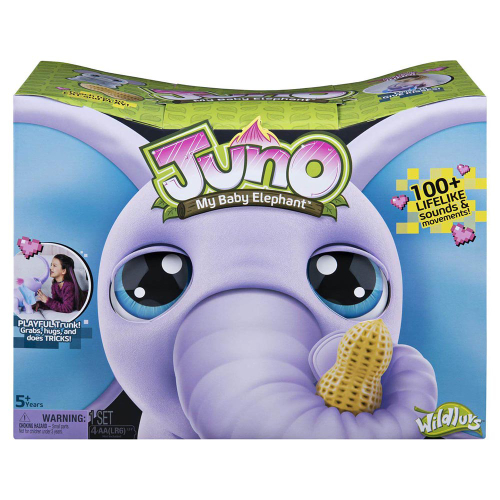 ג'ונו הפילה תינוק שלי - JUNO My Baby Elephant