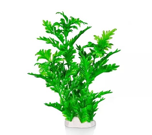 צמח ירוק 30 ס"מ GIGAN