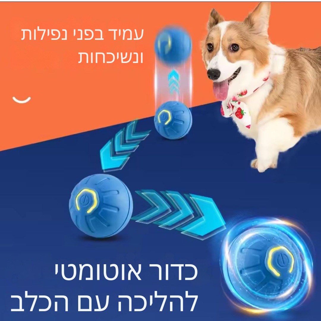 כדור חכם אינטראקטיבי בפעולה