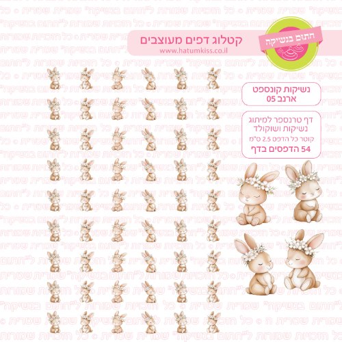 נשיקות קונספט ארנב 05- טרנספר
