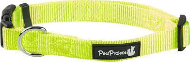 קולר לכלב מידה גדולה M בייסיק PetsProject