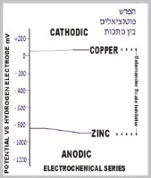 סלמנדר "3/4 תוצרת אנגליה